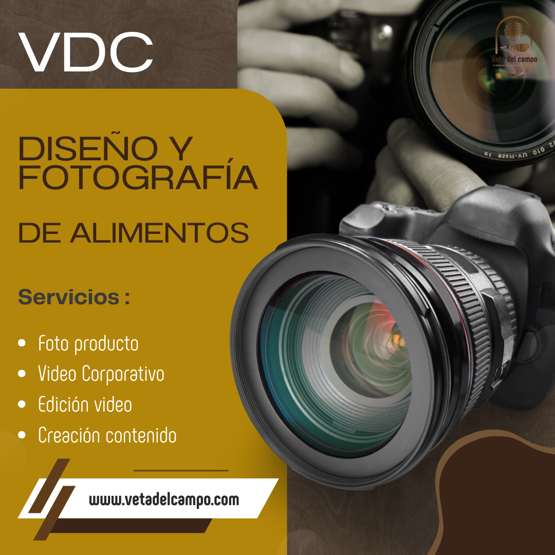 Diseño_y_Fotografía_de_Alimentos